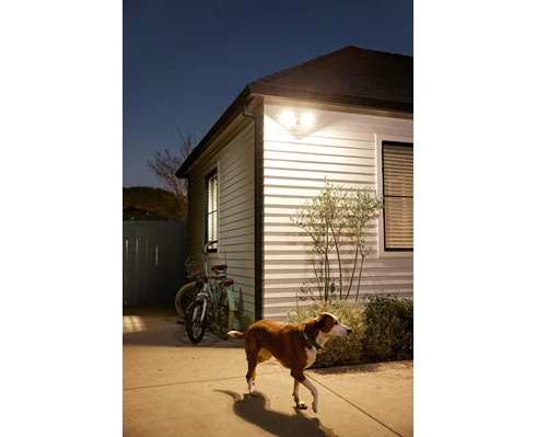 Google Nest Cam with floodlight (wired)