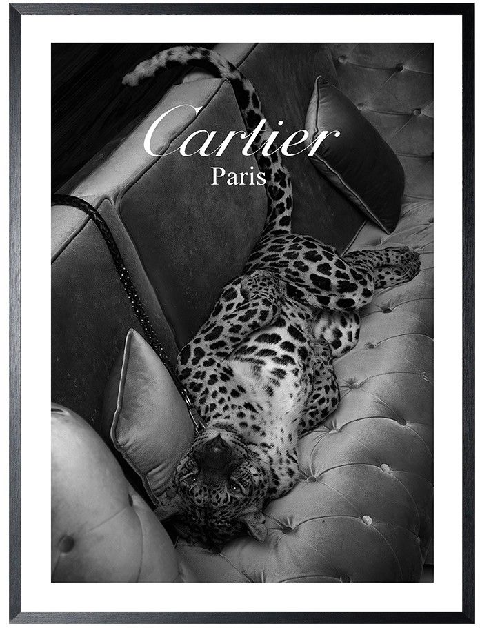 Art Print Cartier Luipaard Zwart-wit FA-143B
