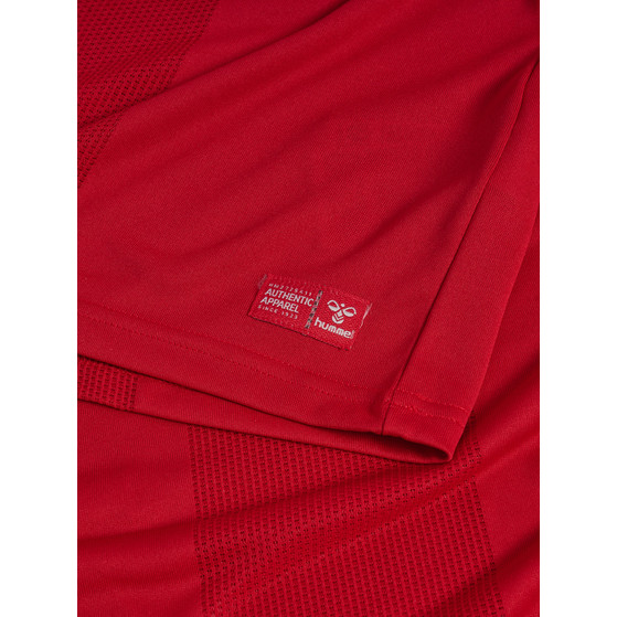 Hummel Denemarken Thuis Shirt WK 2026