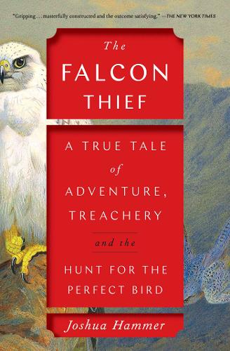 The Falcon Thief: A True Tale of Adventure, Treachery, and the Hunt for the Perfect Bird (Paperback)