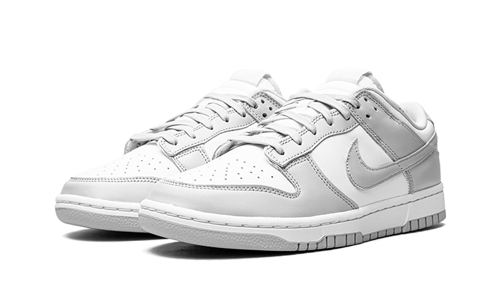 Nike Dunk Low Grey Fog - 48h Delivery