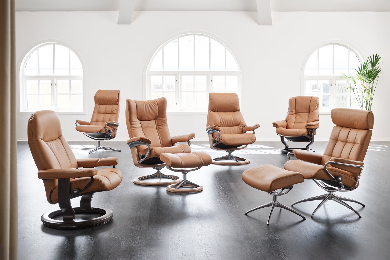 Stressless® Wing (M) Signature krakk Hud Paloma Spesial Taupe og Signature understell i eikbeiset og alu