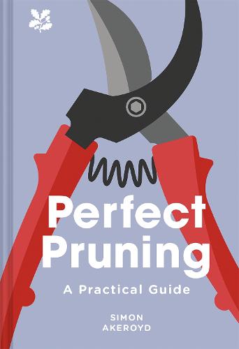 Perfect Pruning (Hardback)