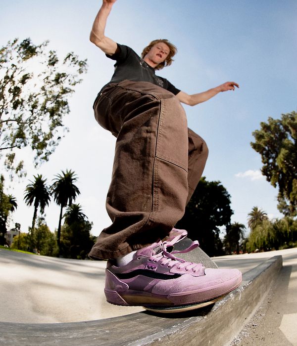 Vans Skate Drill Chore Ave Loose Carp Hose (chocolate brown)