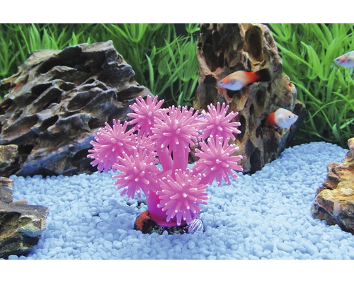 Decoratie Lachend Koraal 9 cm roze