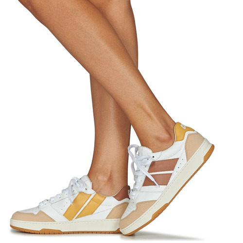 Caval - BROWN SAHARA - Blanc / Orange / Bleu