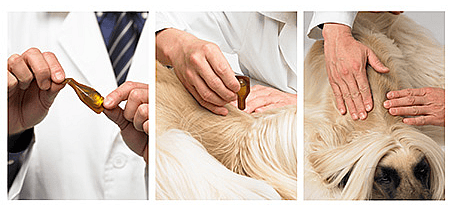 Dermoscent Atop 7 Spot-on | 20-40 kg 4 pipetten | 11685.2