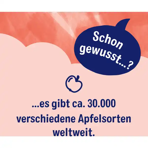 Bio Früchte Tee