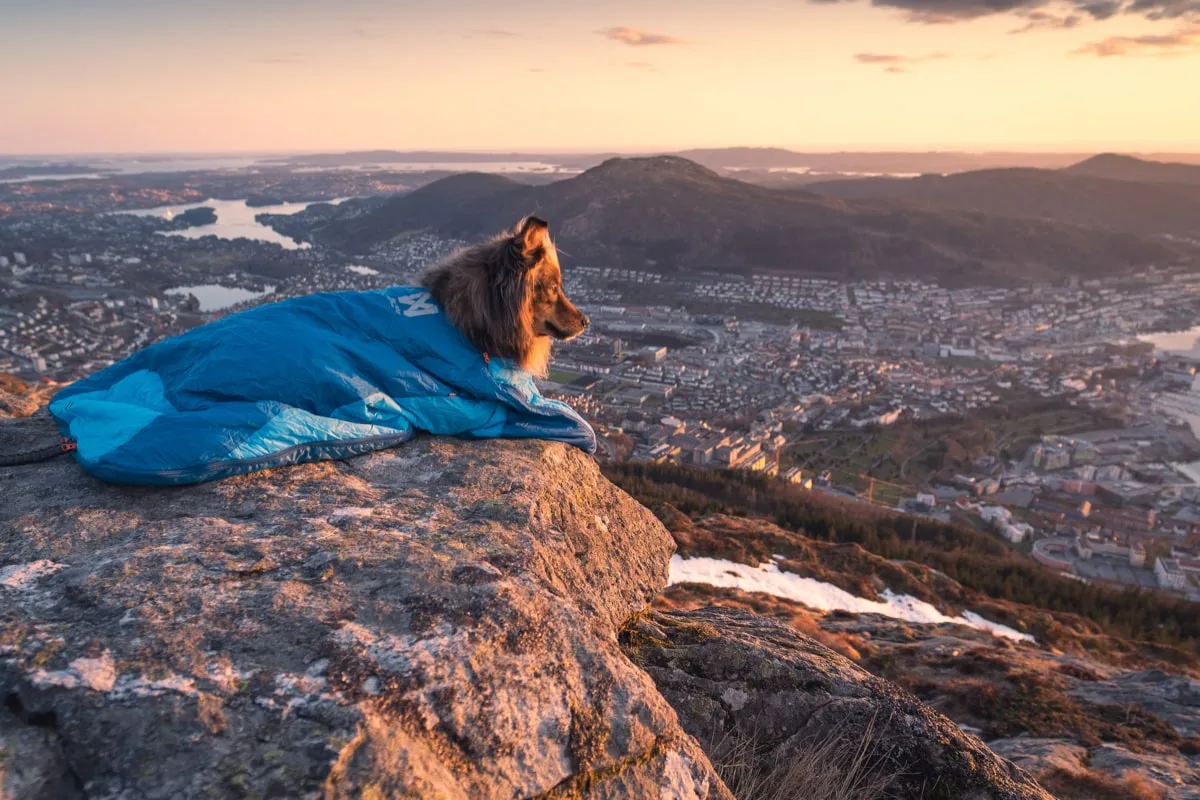 Non-stop Dogwear Ly Sleepingbag For Dog Blue