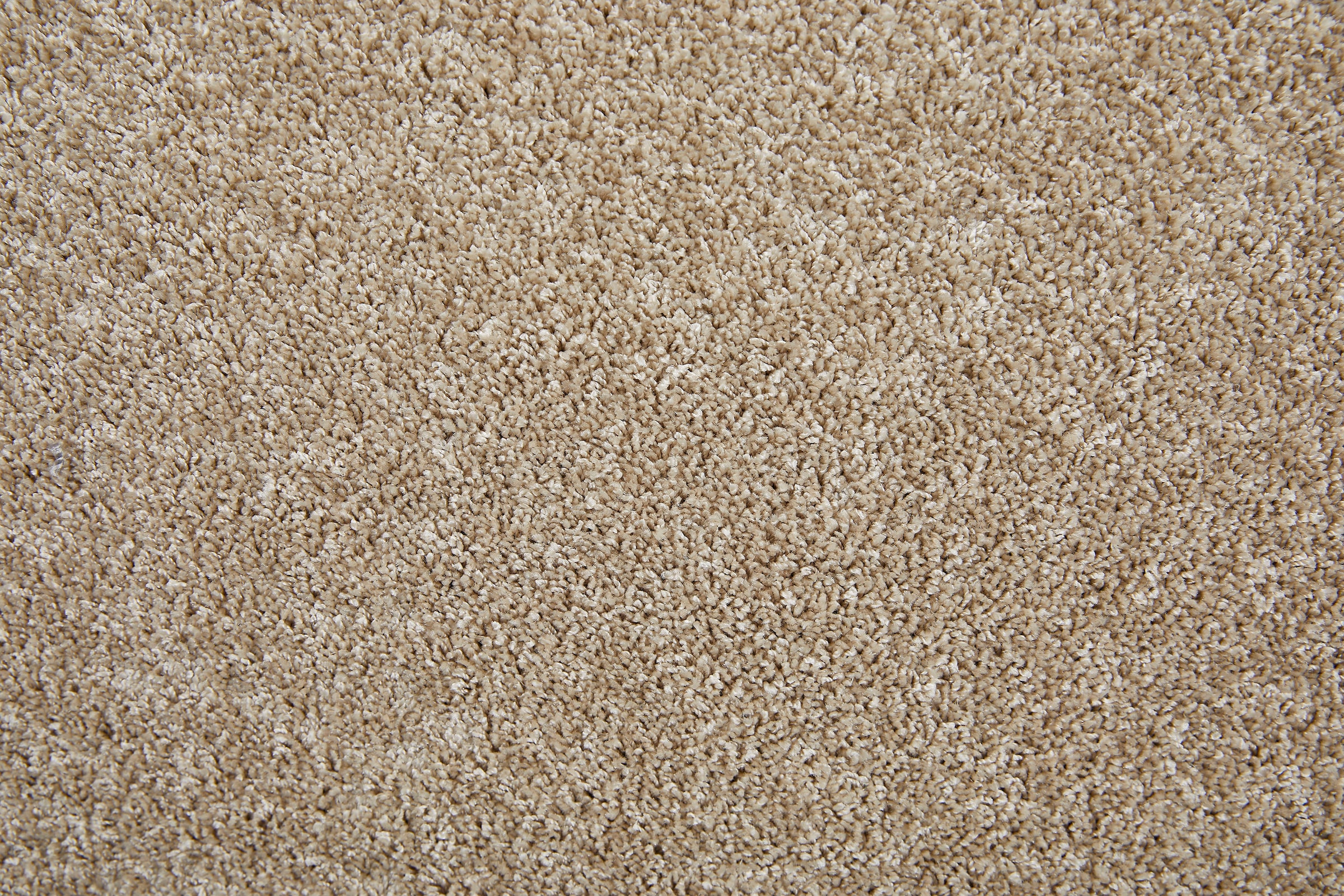 Andiamo Teppichboden »Portland, Velours, Made in Netherlands« rechteckig 11 mm Höhe Uni Farben, Breite 400 cm, Wohnzimmer, strapazierfähig, pflegeleicht