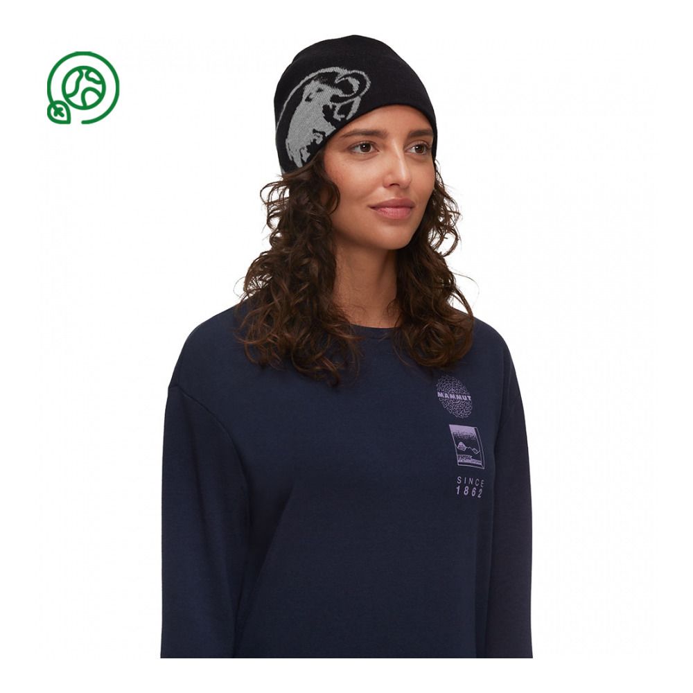 Mammut TWEAK - Bonnet black/steel