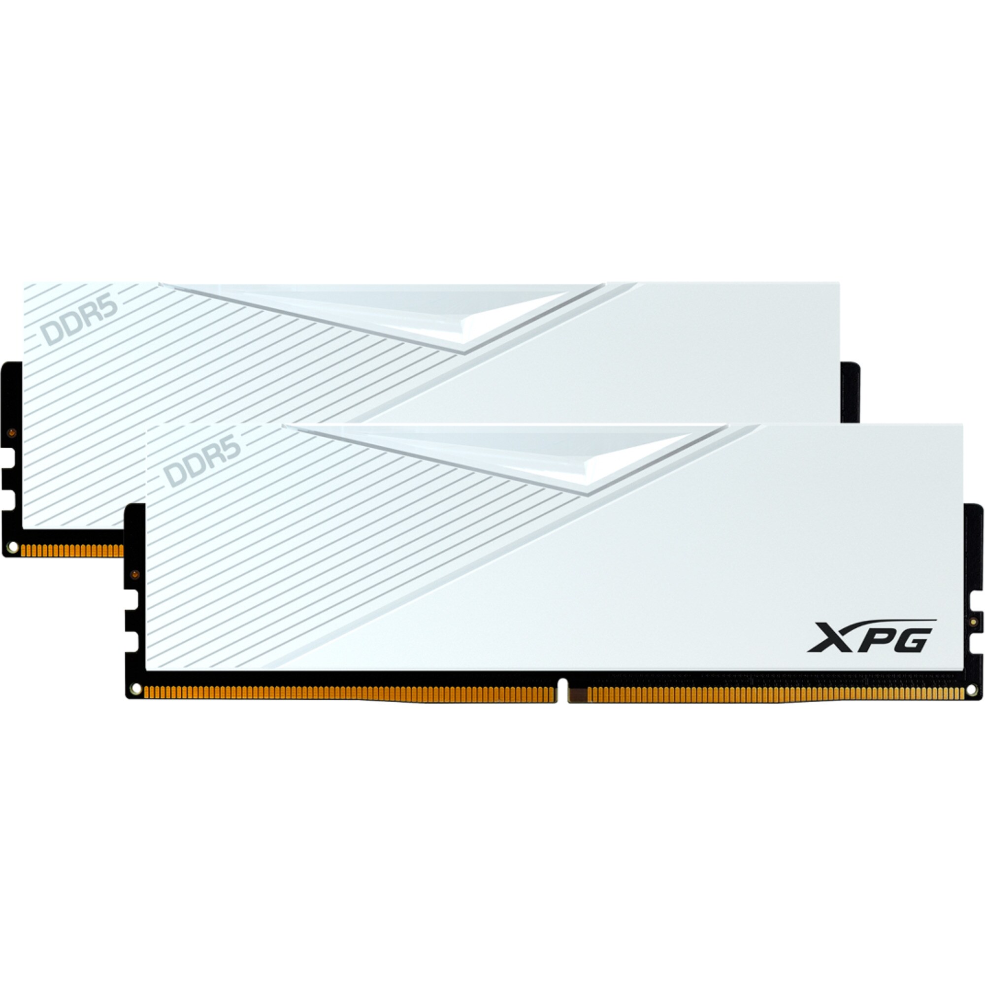 ADATA Arbeitsspeicher DIMM 32 GB DDR5-5600 (2x 16 GB) Dual-Kit