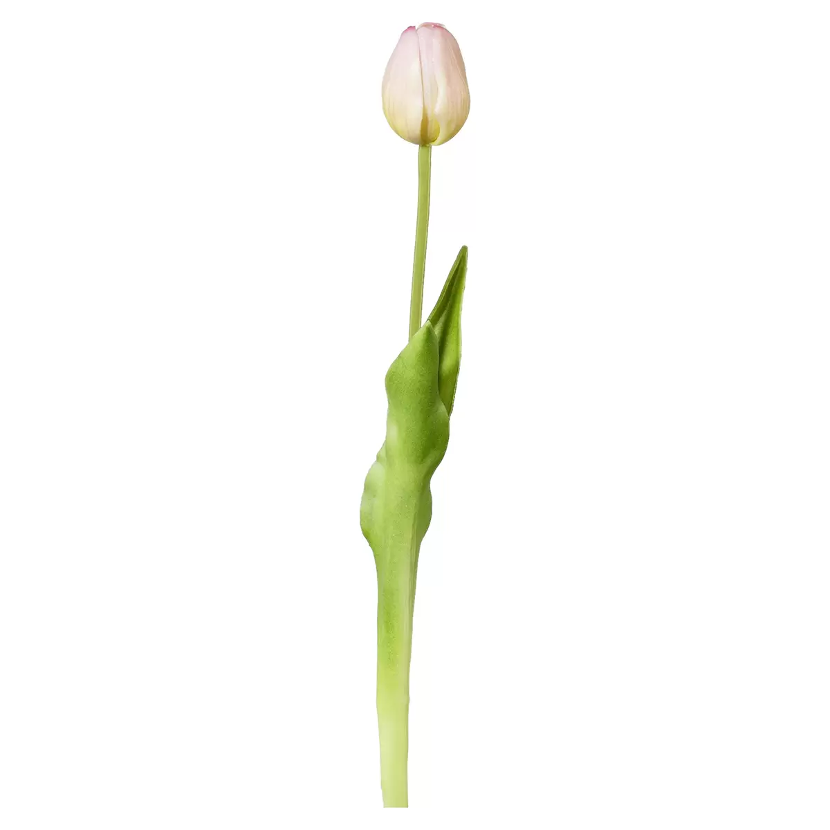 Kunstblume Tulpe Celice Rosa