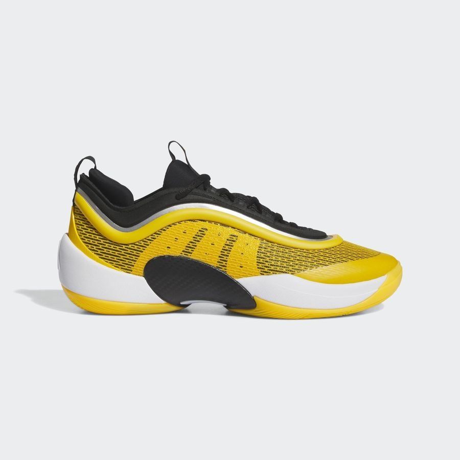 Adidas Chaussure D.O.N. Issue 5
