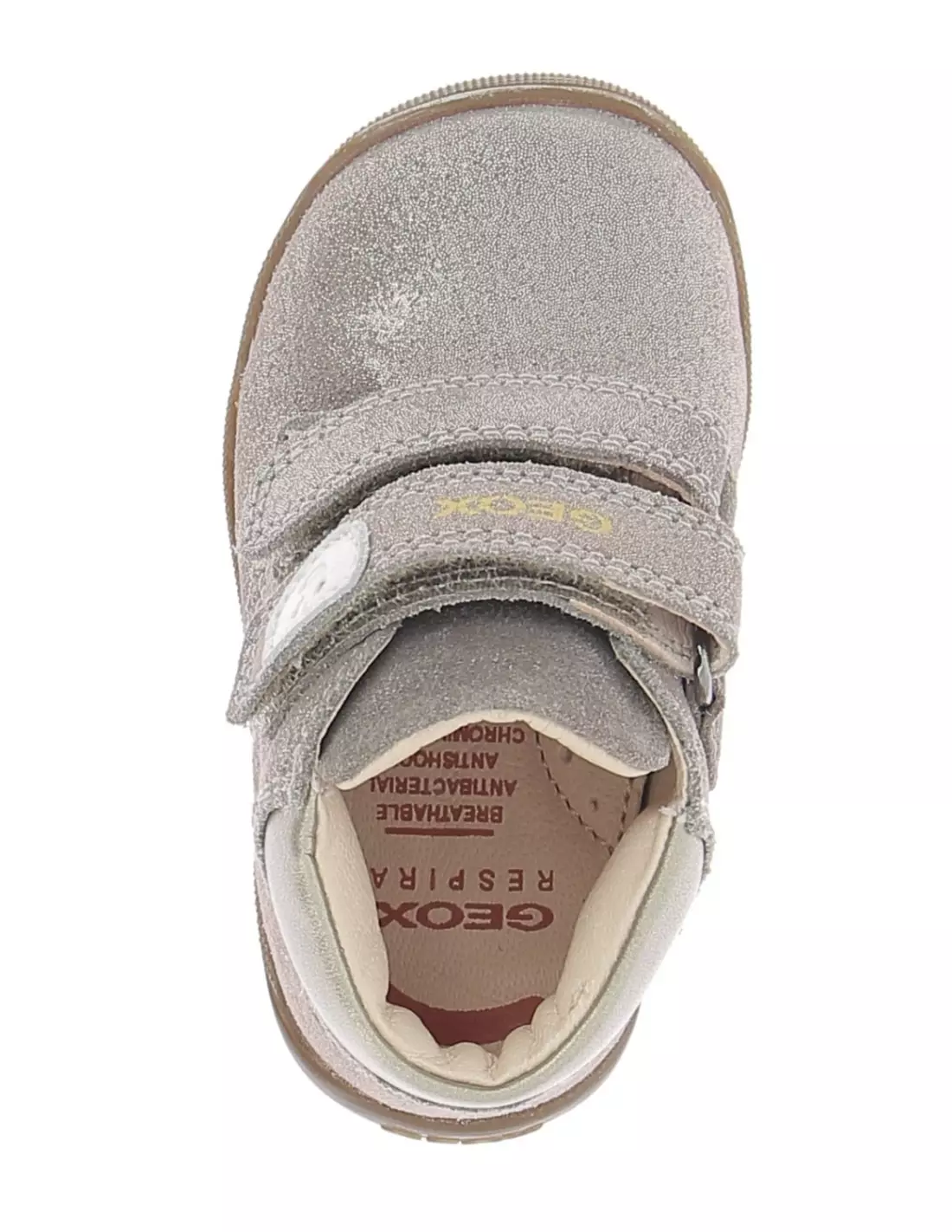 GEOX MACCHIA - Baskets SMOKEGREY