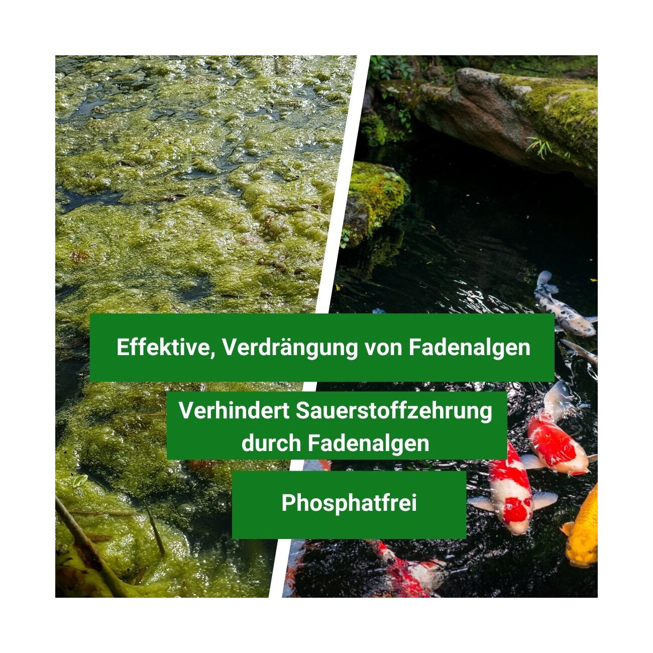 Aqua-Cereal Fadenalgen Stop Speed K 10kg