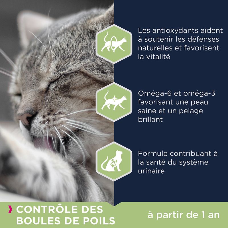 Eukanuba Hairball Control Adult, poulet