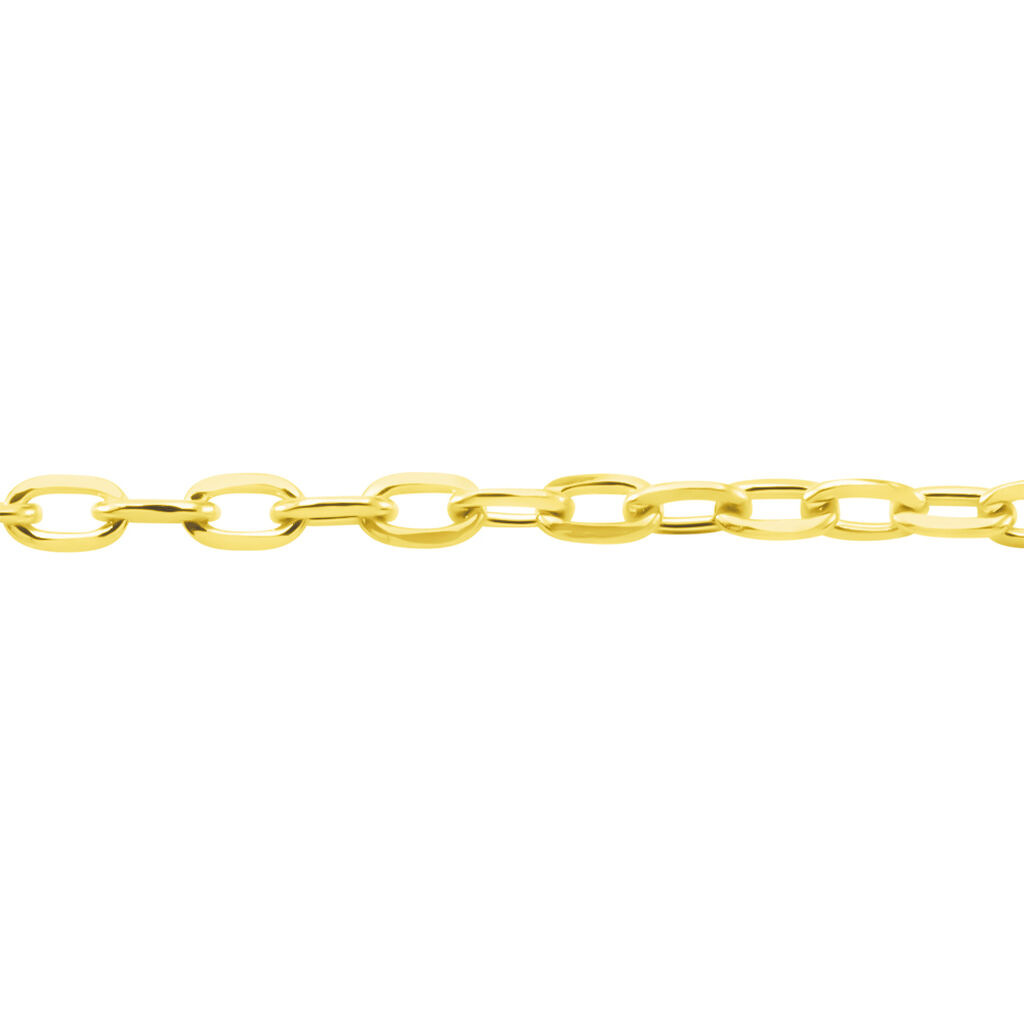 Chaîne Or Jaune Forçat