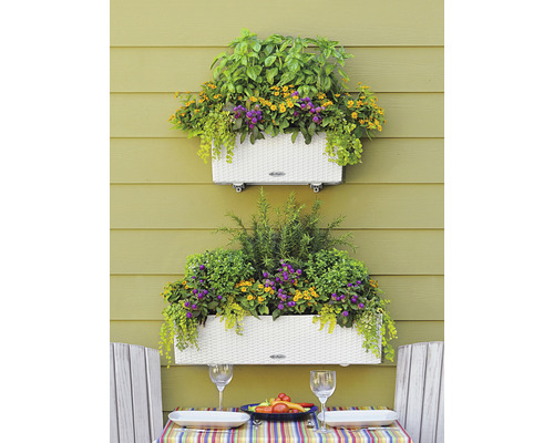 Lechuza Balconera Cottage plantenbak, kunststof, 80x19x19 cm, wit, inclusief zelfbewateringssysteem
