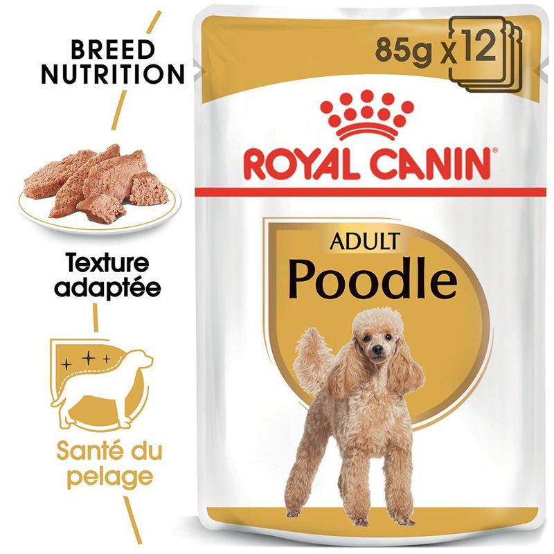 Royal Canin Caniche Adult