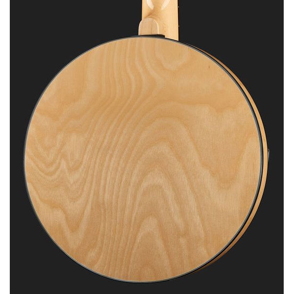 Gold Tone GT-500 6 String Banjitar