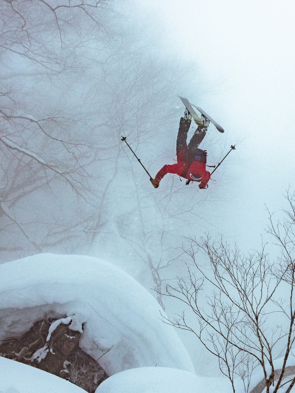 Line Bacon 115 2024 Skis design