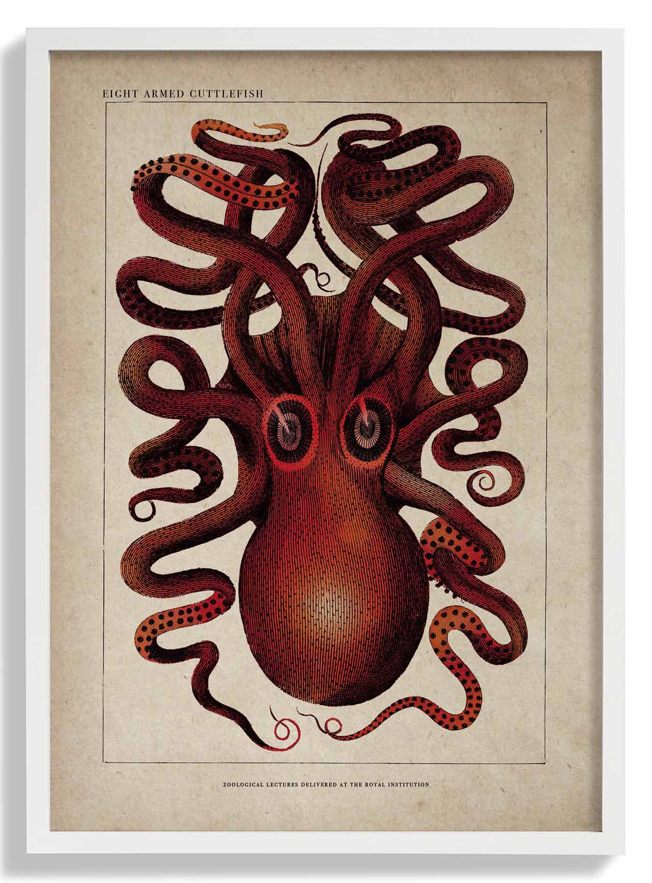 Antiker roter Oktopus