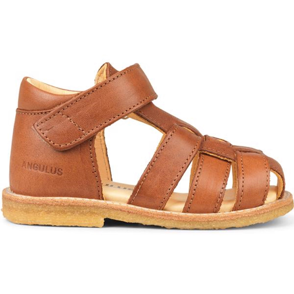 Køb Angulus Begyndersandal M. Velcro Cognac 5019-201-1545