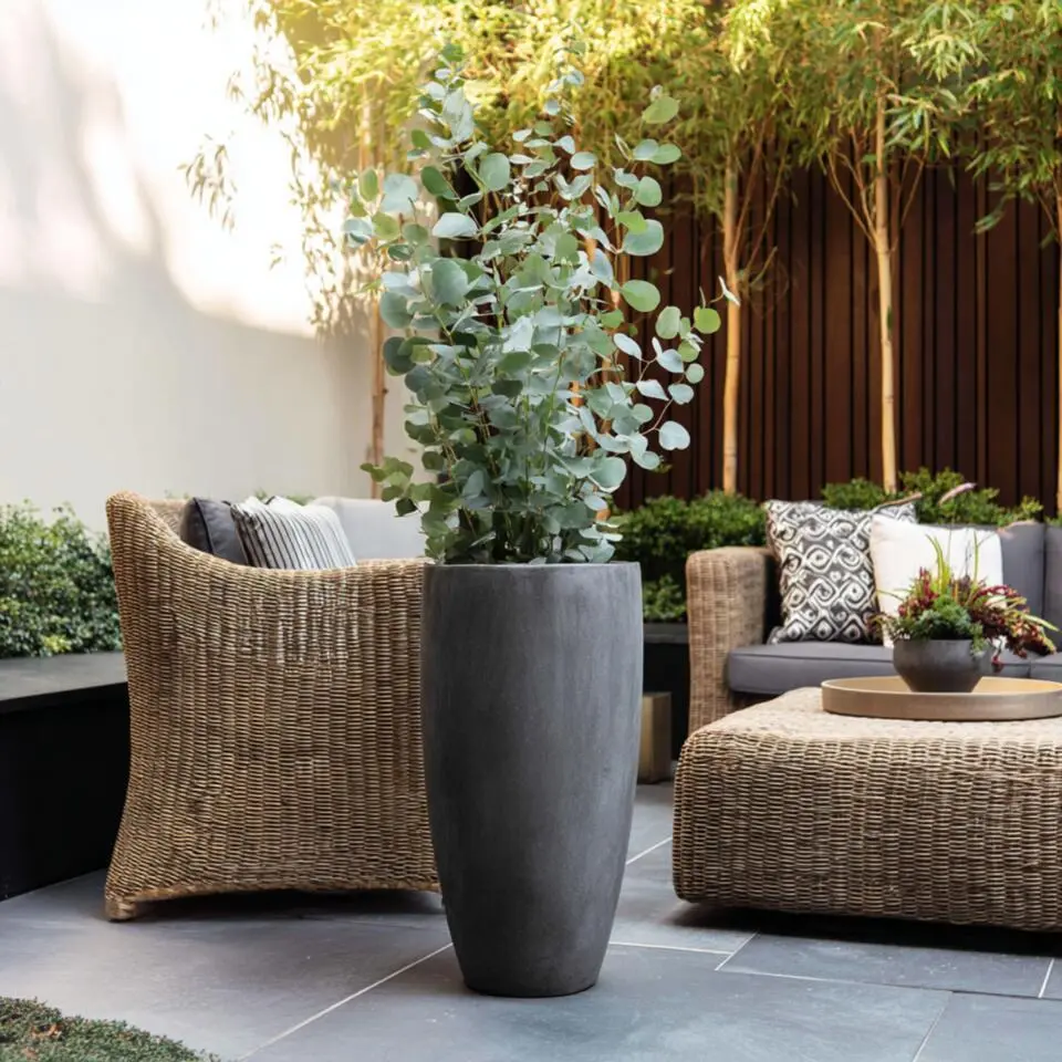 Zilvereucalyptus - Set van 2 - Eucalyptus - Hoogte 90-110cm - ⌀19cm