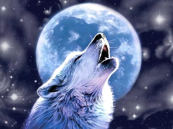 Diamond Painting / DIY 5D Diamantmaling - 30x40cm - Wolf Moon