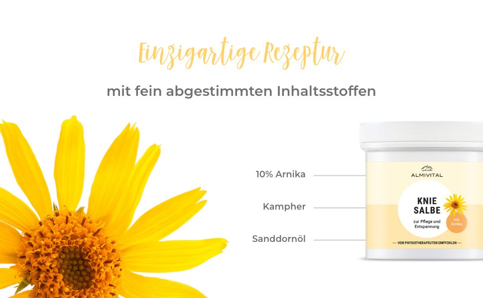 Almivital Kniesalbe mit Arnika, Kampher & Sanddornöl – Pflege und Entlastung für beanspruchte Knie