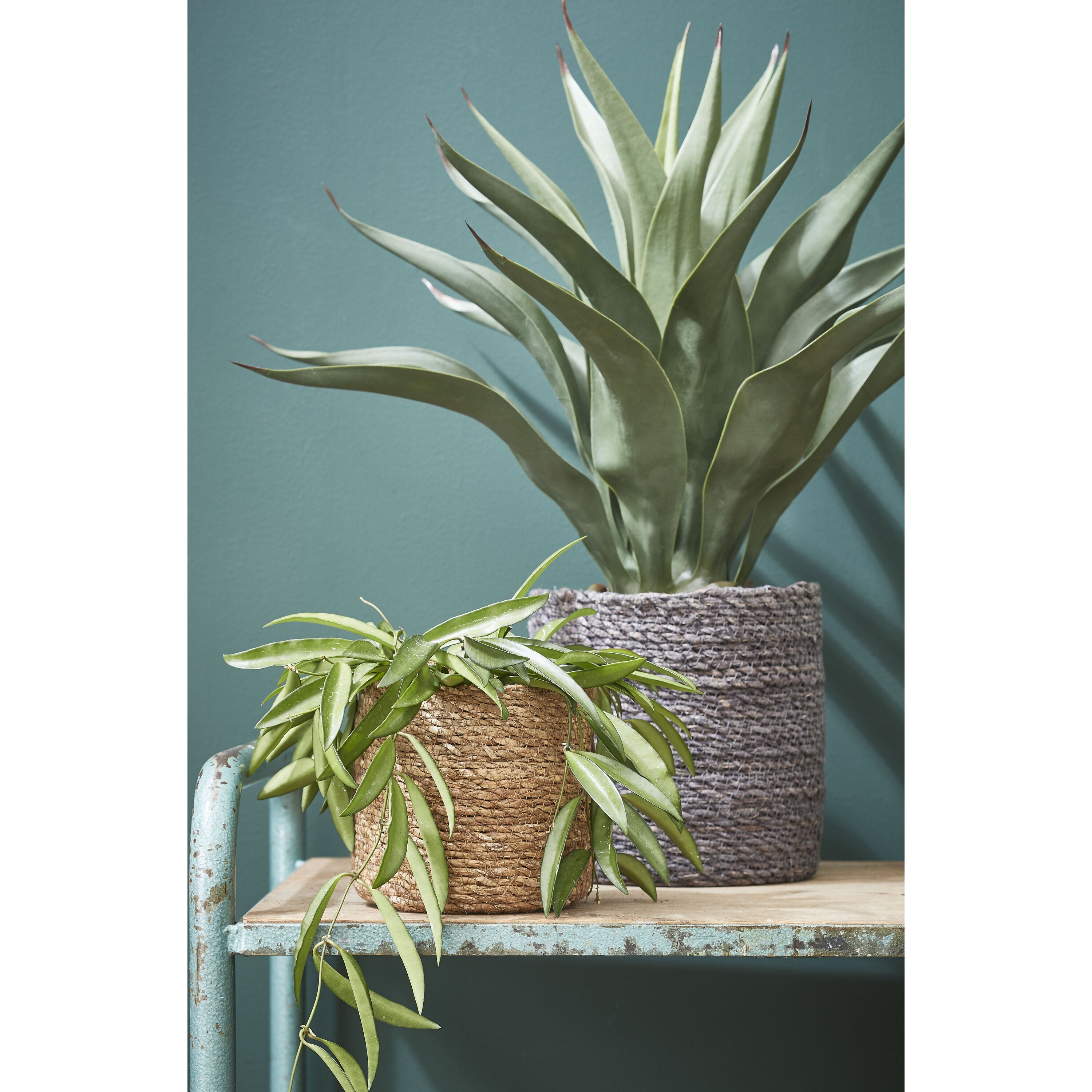 Mica Decorations Atlantic mand l.bruin set van 2 - h20xd20cm