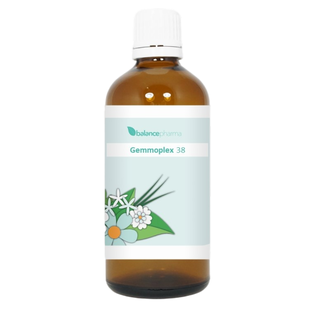 Balance Pharma Gemmoplex HGP 038 Lever Nier Lymf 100ML