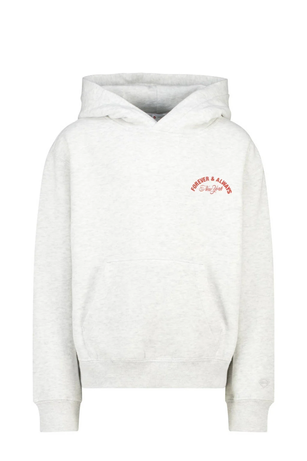 America Today hoodie grijs