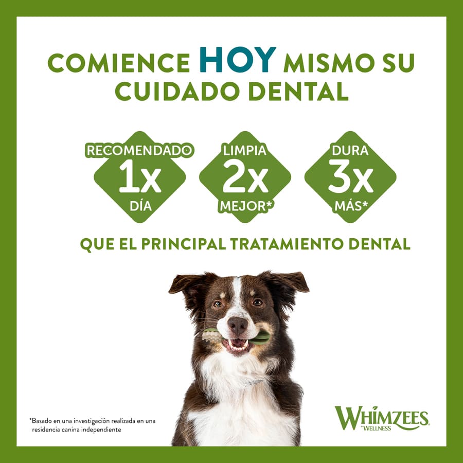 Petiscos dentais em formato de osso Whimzees para cães