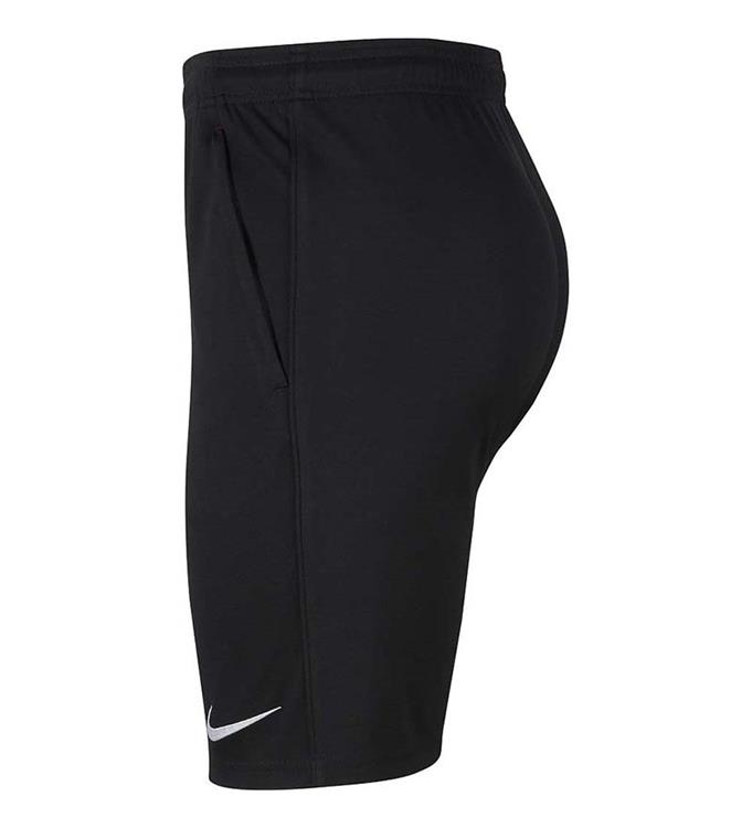 Nike Men Dry Park20 Short