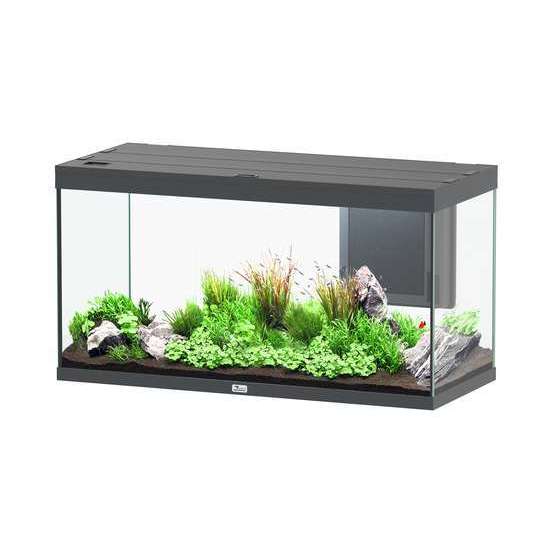 Aquarium équipé Volga 350 Led 2.0 Gris L. 122.5 P. 52.7 H. 65.9cm