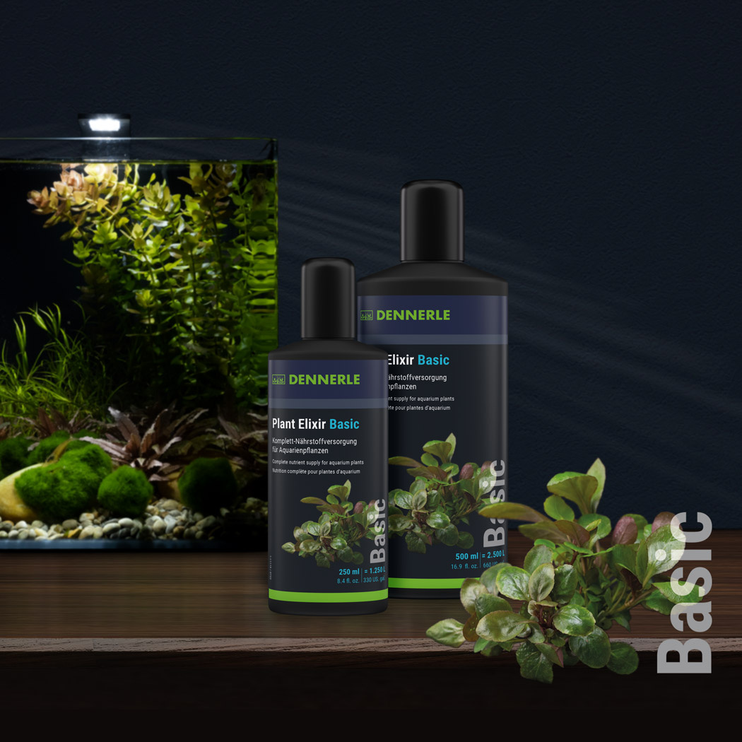 Dennerle Plant Elixir Basic 250 ml | Plantenvoeding