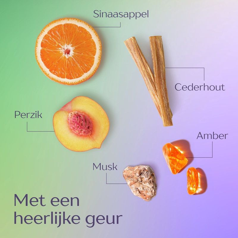 Andrélon - Iedere Dag - Shampoo - 6 x 400 ml - Verrijkt met Zonnebloemolie