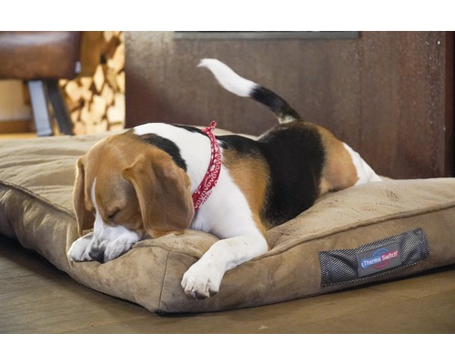 Hondenmatras ThermoSwitch Milos 50 x 40 cm bruin