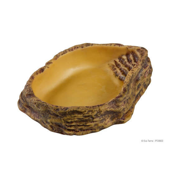 Bol Exo Terra grand modèle pour reptiles : L23xl18xH5,5 cm