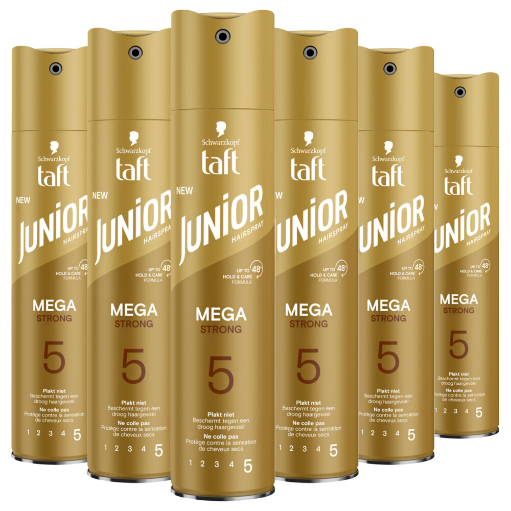 6x Taft Junior Hairspray Mega Strong250 ml