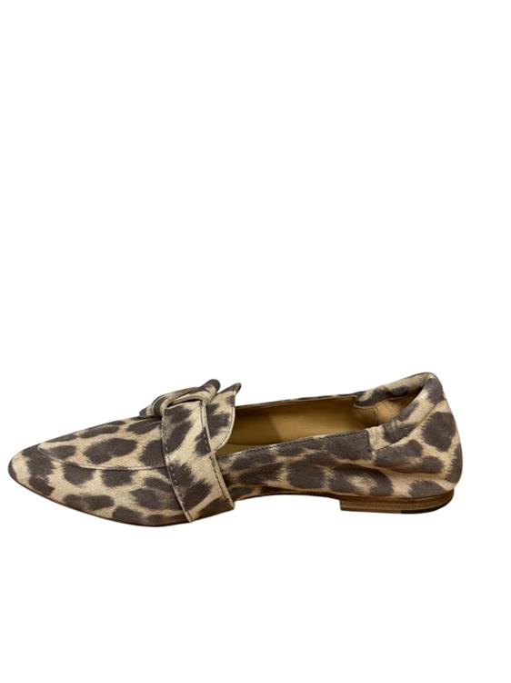 Via Vai 62040 Lola Rayne 05-315 Brown
