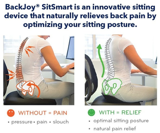 BackJoy SitSmart Posture Plus Roze 1ST