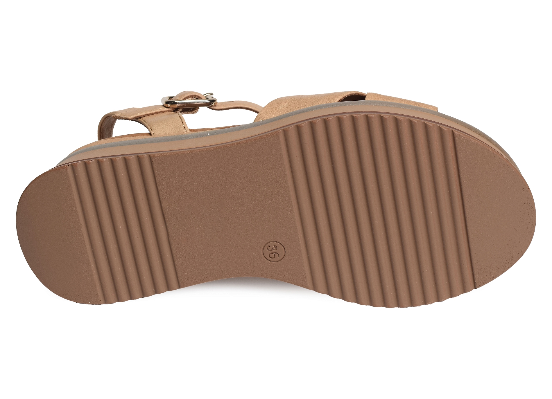 A98008 camel