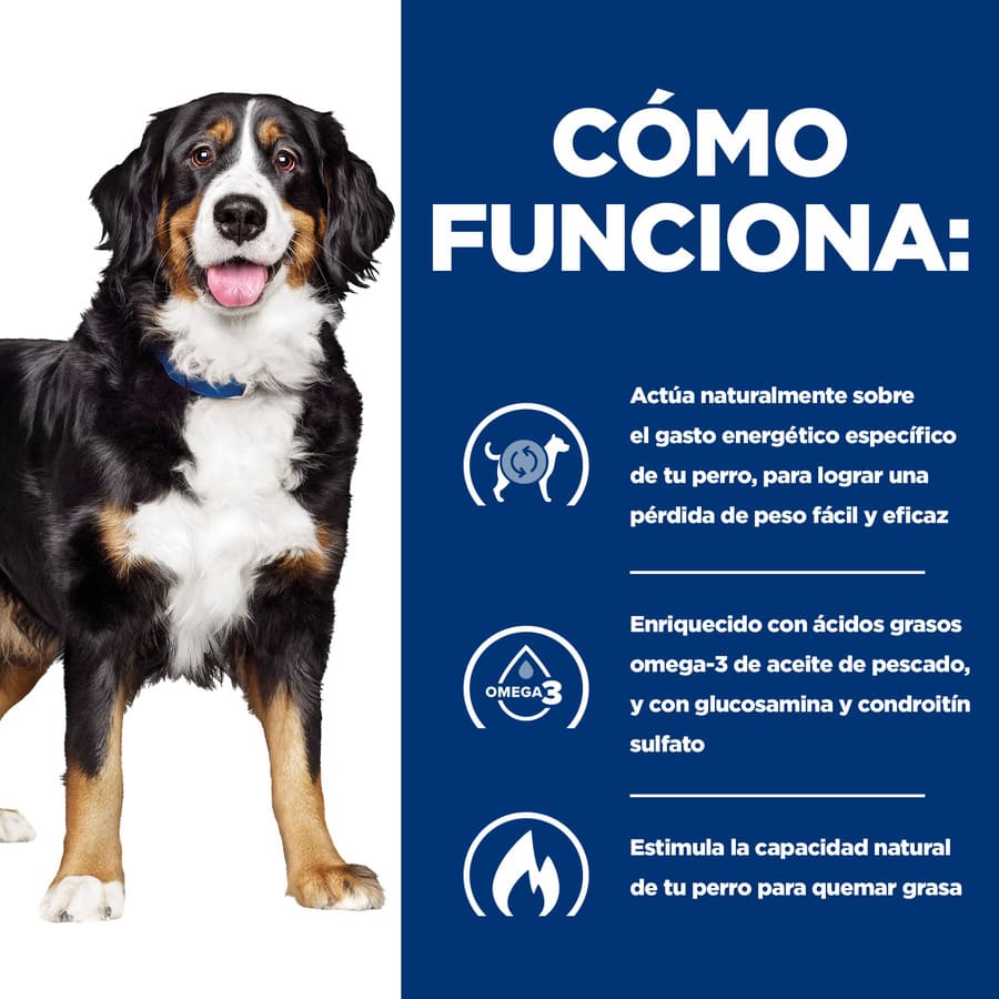 Ração Hill's Prescription Diet j/d Metabolic + Mobility para cães