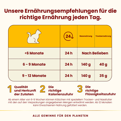 Almo Nature HFC Kitten Lachs&Thunfisch 70g
