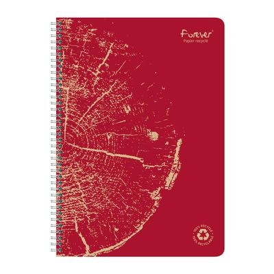 Clairefontaine Forever - Cahier à spirale A4 (21x29,7 cm) - 120 pages - petits carreaux (5x5 mm)