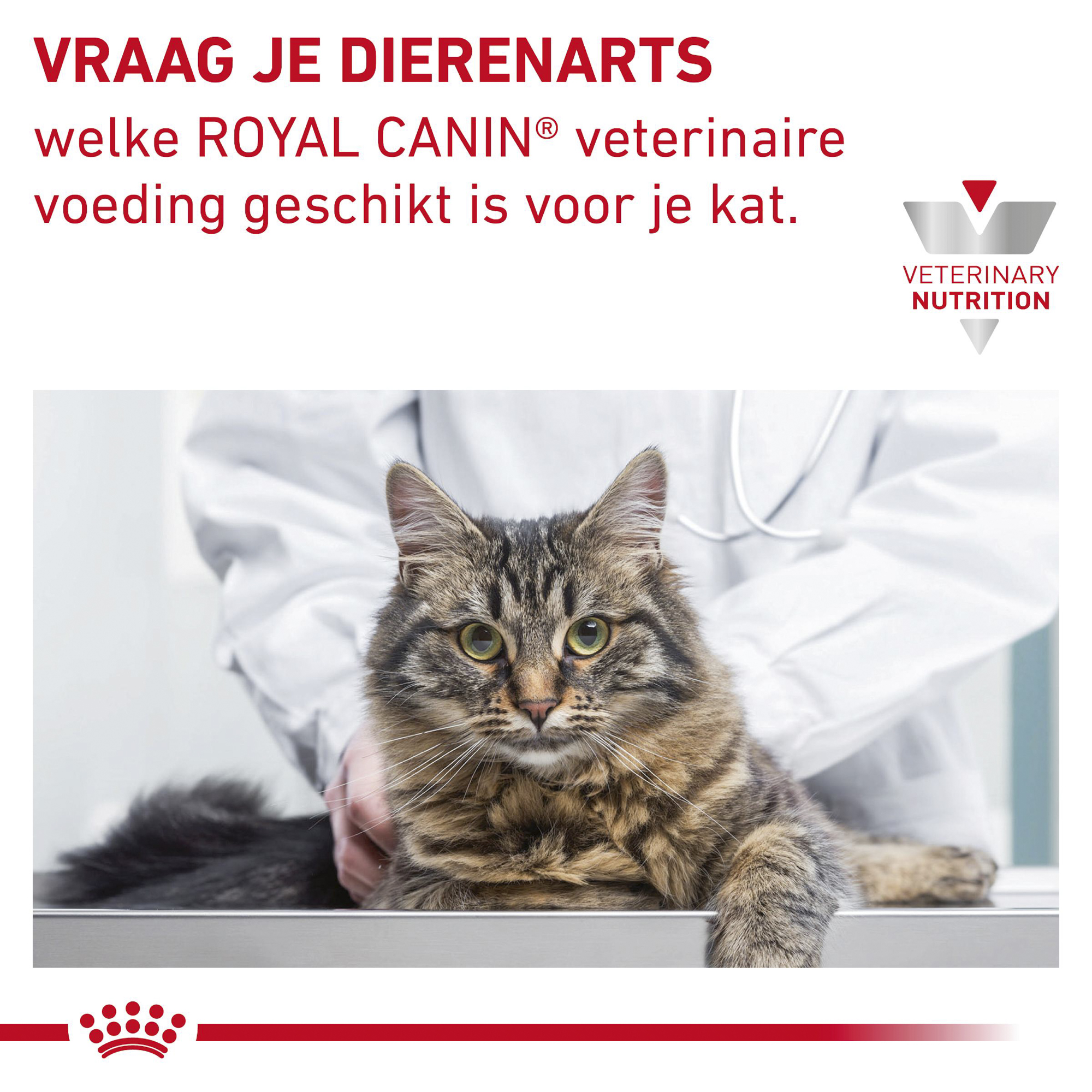 Royal Canin Gastrointestinal Kitten