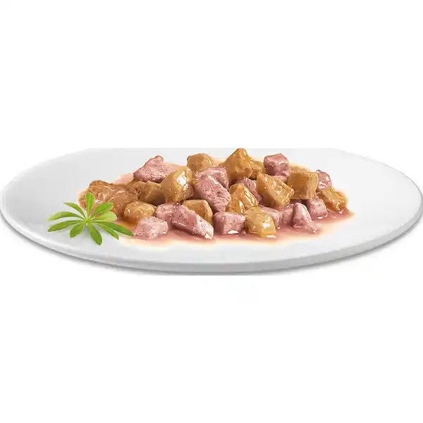 Gold Zarte Häppchen in Sauce mit Lachs & Huhn